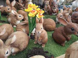 They may be ornamental, but they are still damn cute! - Taken at Brigg Garden Centre