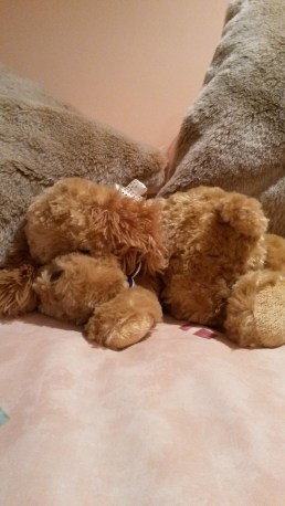 teddy_on_bed