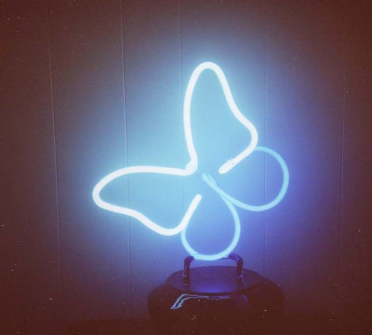 neon_butterfly